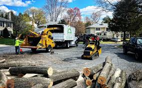 Best Tree Risk Assessment  in Zion, IL